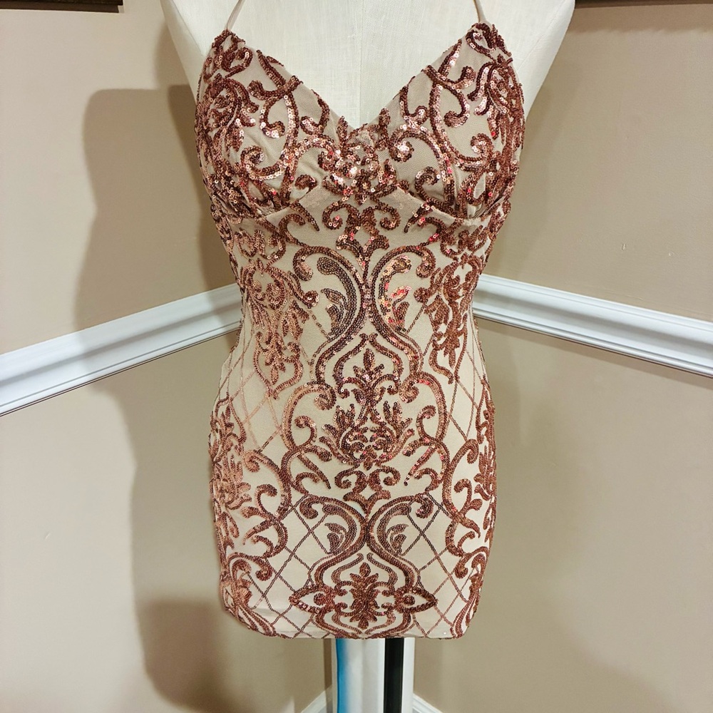 Elegant Sequin Embellished Dress - Rose Gold